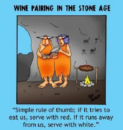 Vineyards Direct
